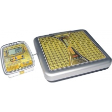 Весы  мед. ВМЭН-150-50/100-Д-А 00/81 электронные с выносным табло и автономным питанием